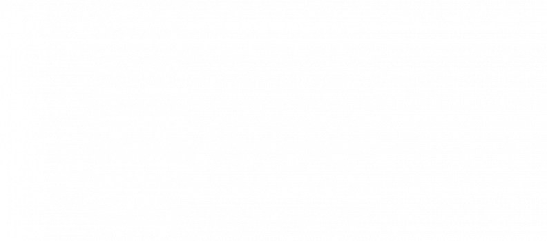 Example T-Shirt